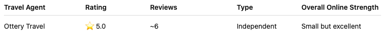 How Ottery Travel ranked using AI when compared with the larger brands.